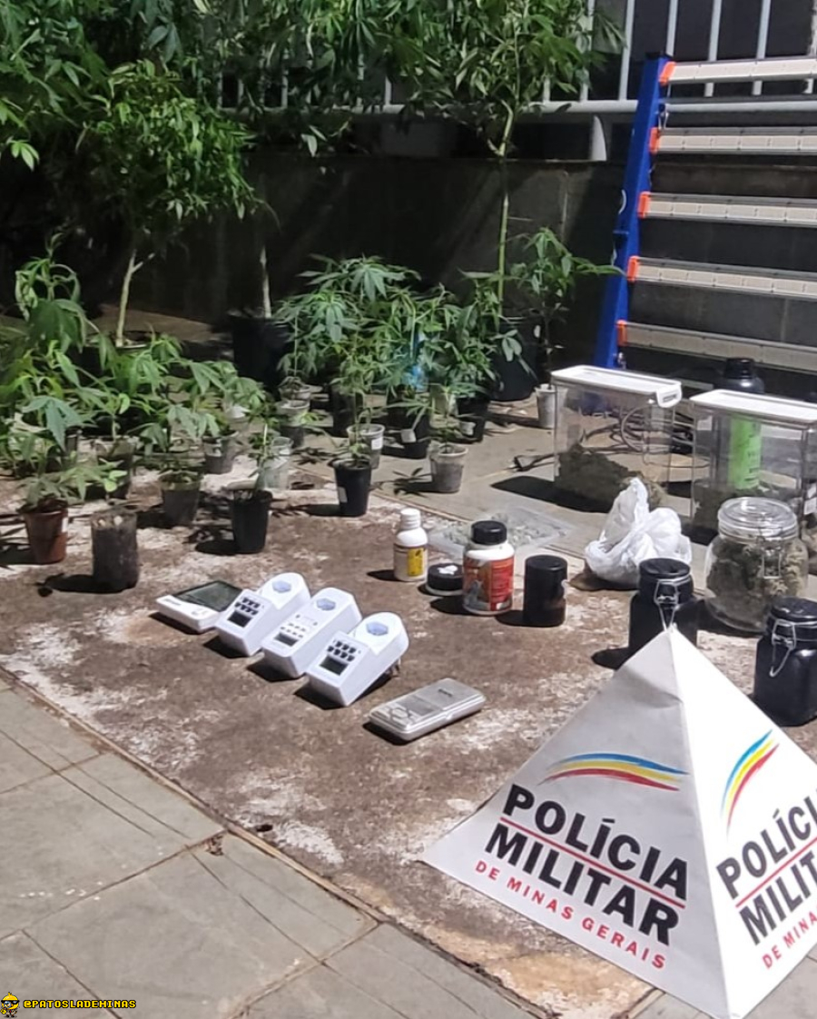 Polícia Militar prende irmãos por tráfico de drogas e fecha estufa de maconha no bairro Planalto
