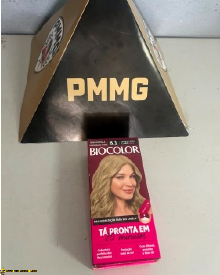 Mulher é presa por furto em drogaria no bairro Rosário